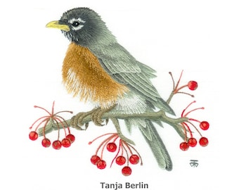 Robin on Berry Branch Hand Embroidery Kit and PDF File with Colour Work-in-Progress Photos