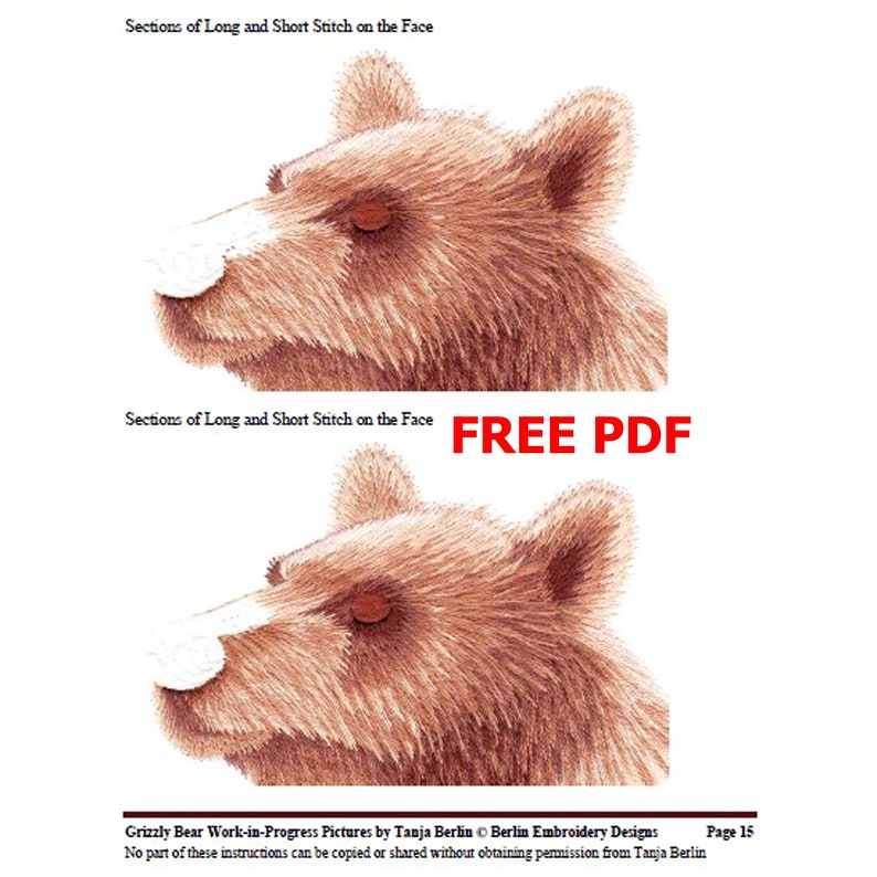 Grizzly Bear Hand Embroidery Kit and PDF File With Colour Workin