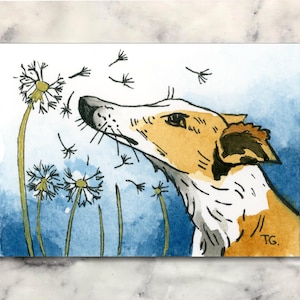 May include: Watercolour painting of a dog with tan and white fur, blowing dandelion seeds. The background is a gradient of blue and white. The dog's head is turned up, with seeds floating away. The artist's initials "TG" are in the lower right corner.