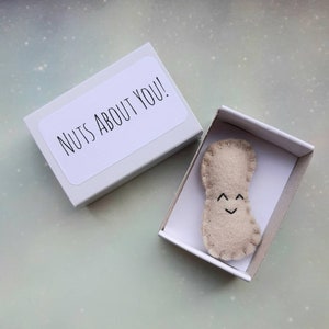 Nuts About You! Funny Pun Gift, Valentines Day for Husband, Girlfriend, Cute Matchbox Keepsake, Secret Valentine