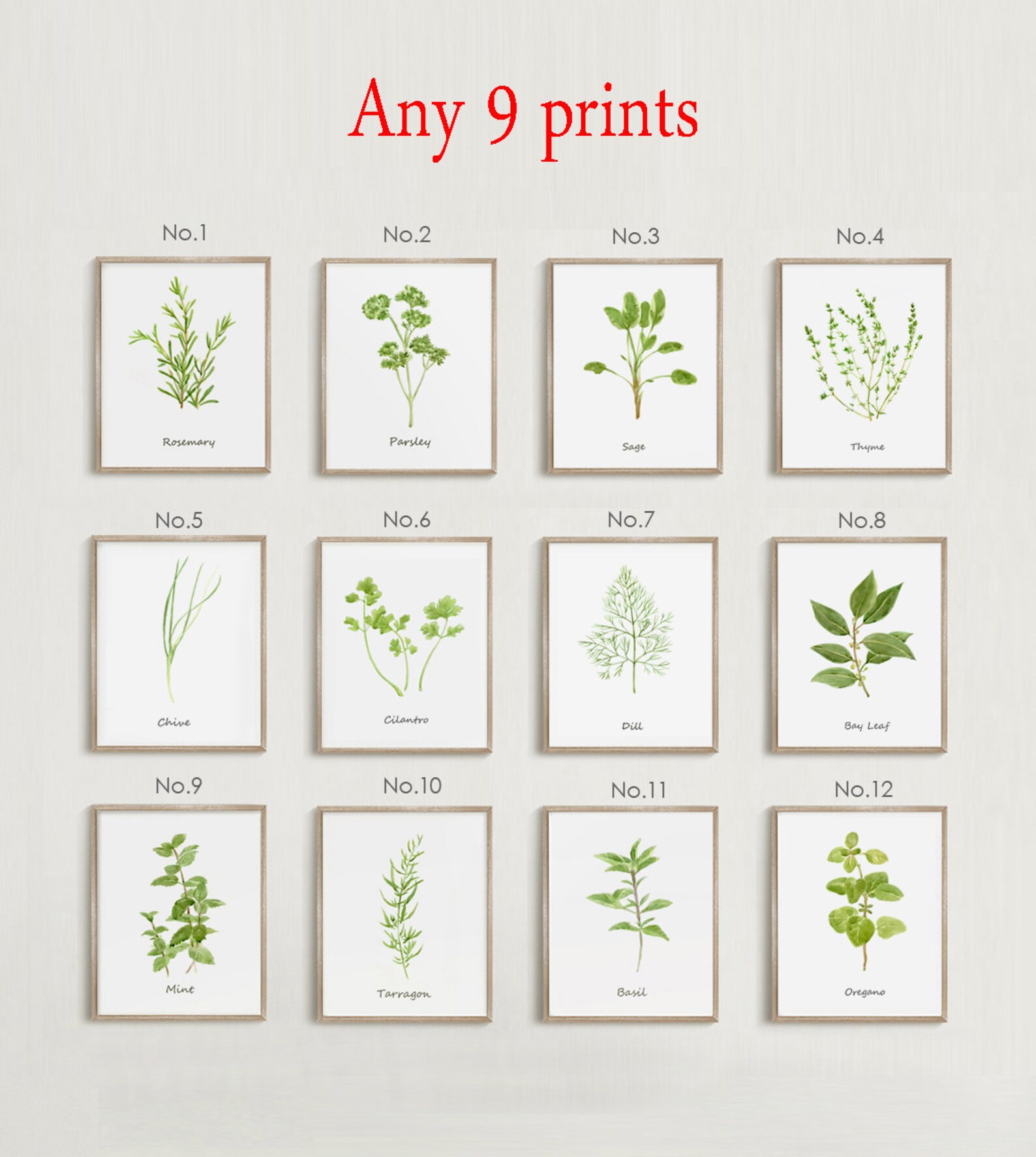Herb Prints Set of 9 Prints Kitchen Art Botanical Print | Etsy