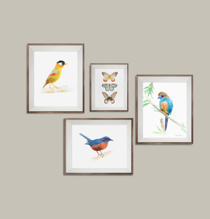 Gallery Wall Art Bird Wall Art Decor Set of 4 Prints Bird Etsy