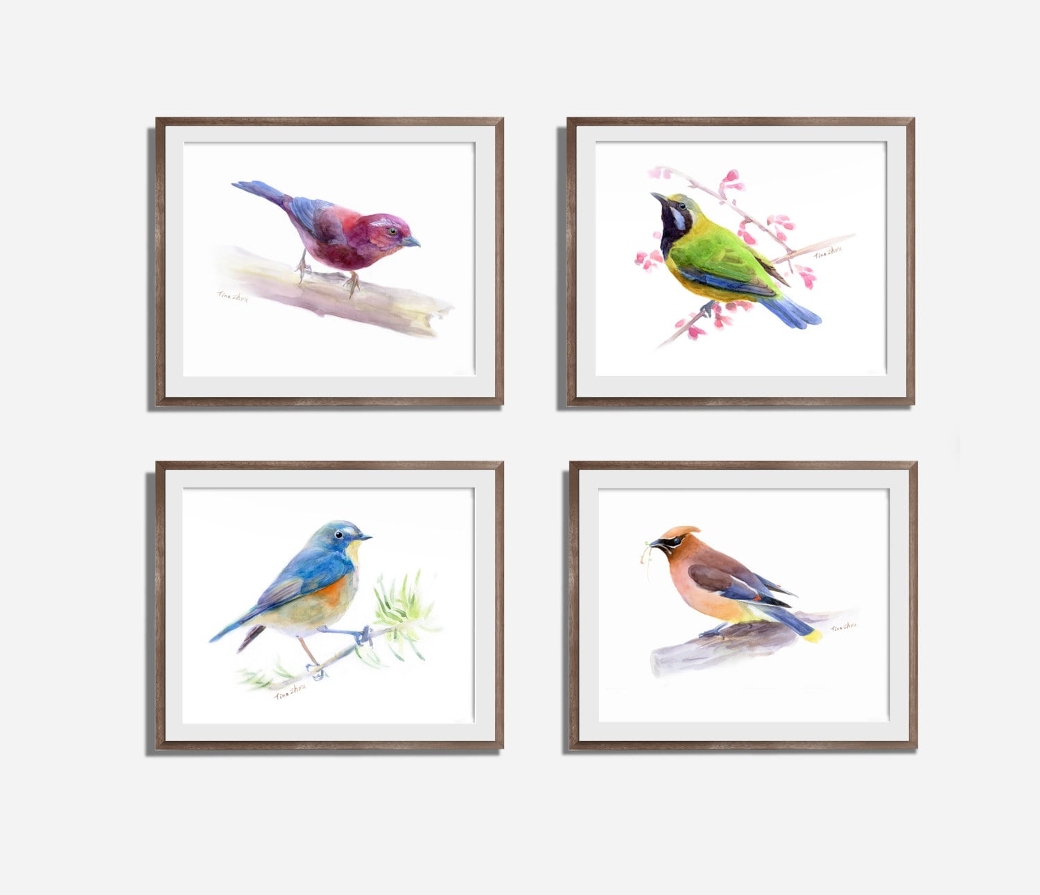 Set of 4 Bird Prints Bird Prints Wall Art Watercolor Birds Etsy