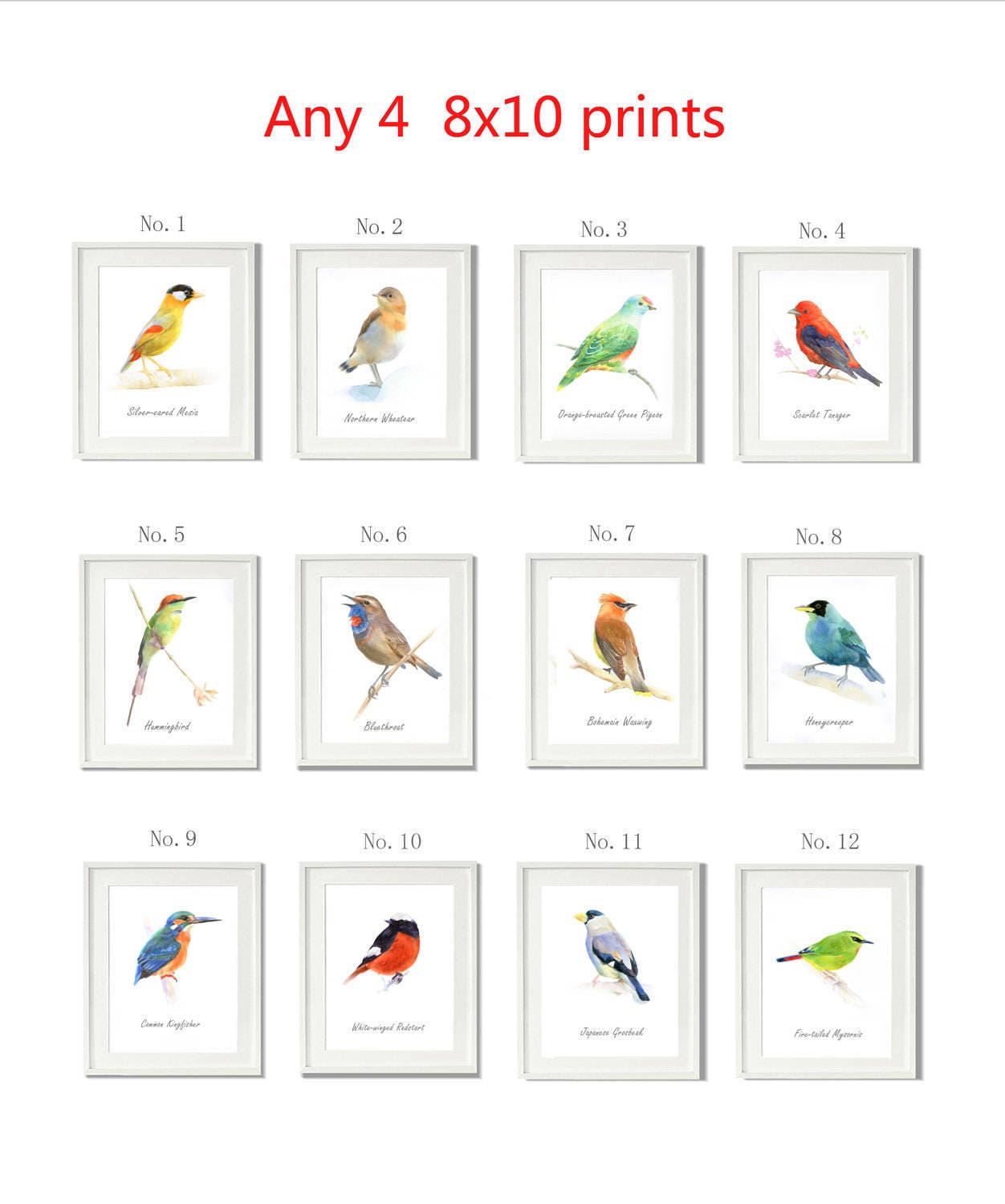Bird Prints Set Of 4 Prints Bird painting 8X10 | Etsy