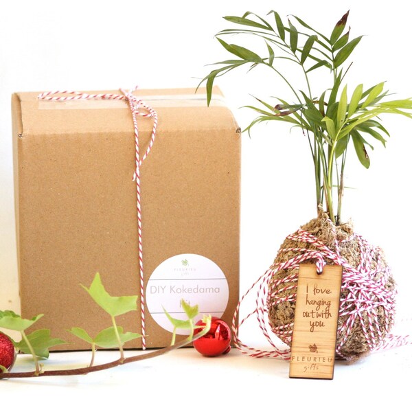 Complete Christmas Kokedama Kit, Moss Ball DIY