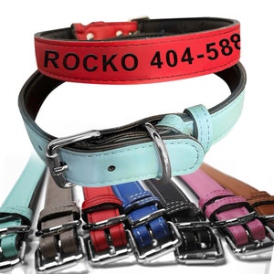 Personalized Pet Collar with name and phone number, Free Shipping, Free Engraving, For Cats and Dogs