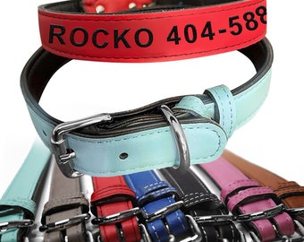 Collar personalizado para mascotas: nombre y número grabados, acolchado cómodo