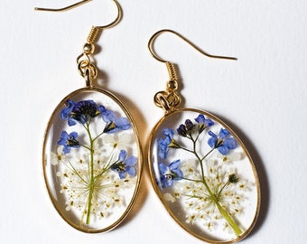 Delicate earrings with pressed real forget me nots