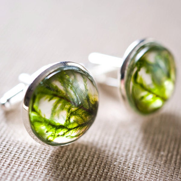 Real moss resin cufflinks