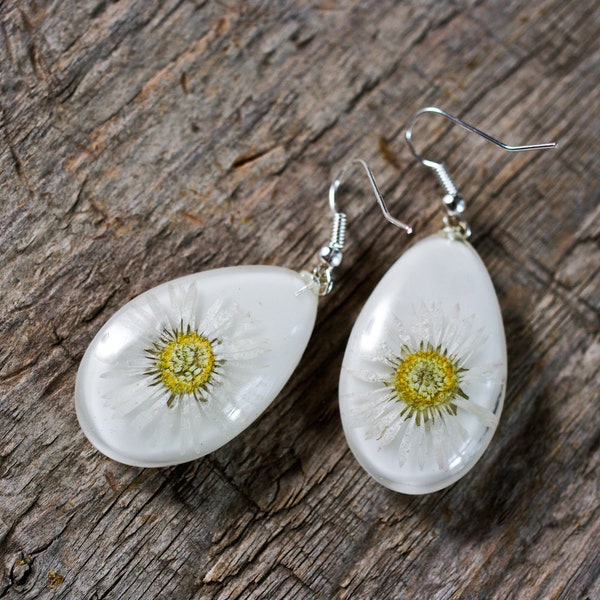 Boucles d'oreilles délicates avec véritable fleur de marguerite pressée