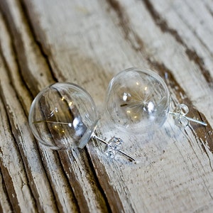 Dandelion glass earrings, terrarium globe earrings image 3