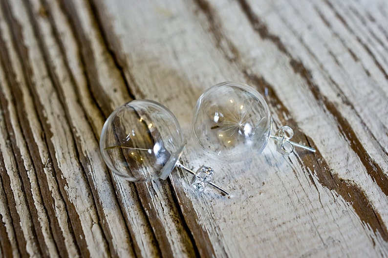 Dandelion glass earrings, terrarium globe earrings image 3