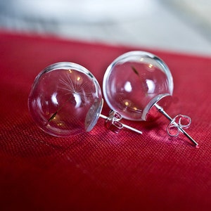 Dandelion glass earrings, terrarium globe earrings image 4