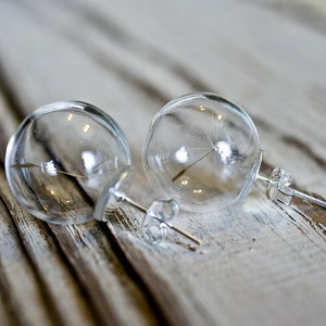 Dandelion glass earrings, terrarium globe earrings image 1