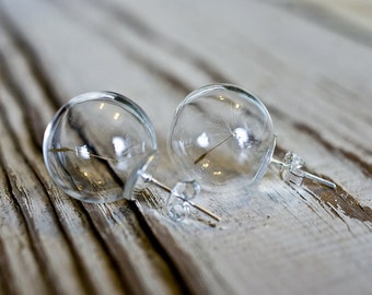 Dandelion glass earrings, terrarium globe earrings