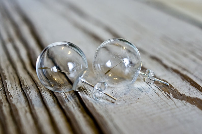 Dandelion glass earrings, terrarium globe earrings image 1