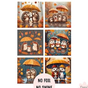 Fournitures pour la fabrication de cartes pour les jours de pluie, hérissons, faites vos propres cartes de voeux, embellissements de cartes, fournitures d'artisanat, dessus de cartes, travaux manuels en papier, 6