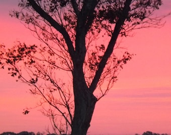 Pink Sunset Digital Download, Outdoor Photo, Nature Photo, Scenic Photo, Sunset Photo, Pink Sunset