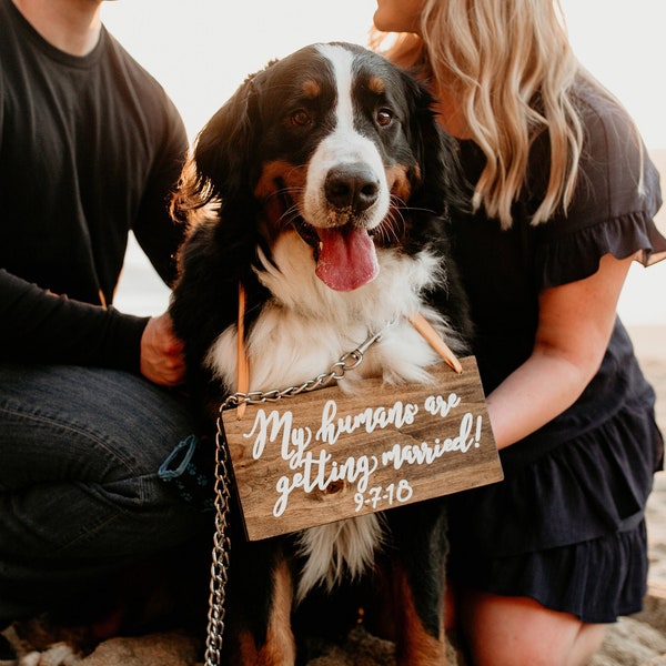 My humans are getting married sign, dog save the date, pet save the date, engagement photo prop sign