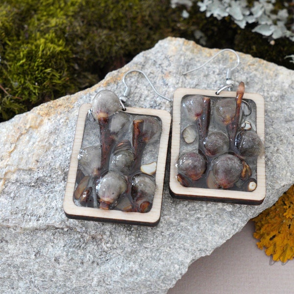 Pussy WILLOW branches Moss terrarium earrings, Forest Nature lover drop earrings ,Real Lichen resin earrings,Botanical jewelry, Bohemian