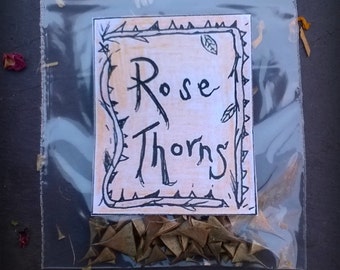 13 Rose thorns, pins for candle inscribing, pagan, Wiccan, witch, fairy tales, crafts