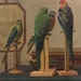 Owner of <a href='https://www.etsy.com/shop/RandomCoolFinds?ref=l2-about-shopname&from_page=listing' class='wt-text-link'>RandomCoolFinds</a>