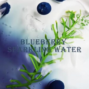 May include: A refreshing composition featuring blueberries, green sprigs, and water droplets. The text "BLUEBERRY SPARKLING WATER" is displayed in a stylized font, suggesting a beverage product. The image has a clean, bright aesthetic.