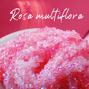 Rosa Multiflora Slime/Rosen Maiden Slime/Favorate Slime/Foaming Slime/Romantic Gift/Funny Toy for Child