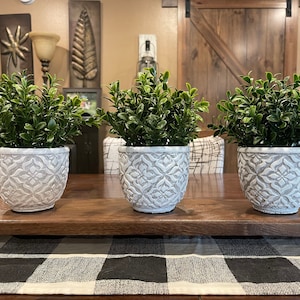 May include: Three white ceramic planters with a decorative embossed pattern, each holding a small green bush. The planters are arranged in a row on a wooden table with a black and white checkered table runner.