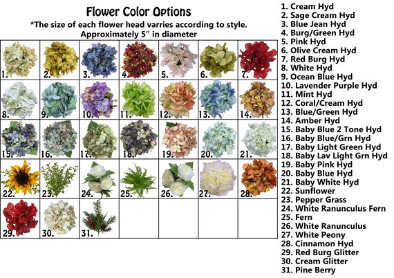 Letras Coral Butterfly Cara Maquillaje Flor Chica Hermosa Letras Coral Butterfly Cara Maquillaje Flor Chica Hermosa