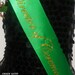 st patricks day sash