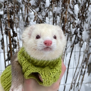 Green Hand knitted Seemless Ferret Sweater Jumper Handmade Wool turtle-neck