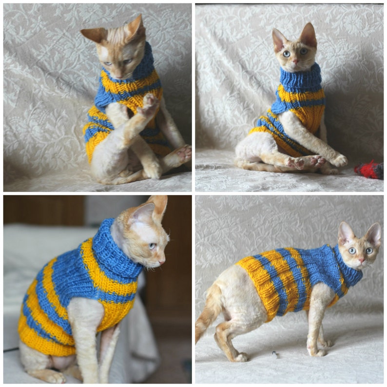 Hand knitted Cat Small Dog Sweater Jumper Jacket Blue.Yellow stripes. Pet animal sphynx devonrex yorkshire terrier Handmade Wool turtle-neck image 5