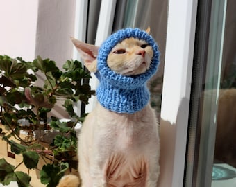 Light BLUE Hand knitted Cat Small Dog Hat Pet Animal Sphynx Devonrex Cornish Chihuahua Bambino Elf Handmade Wool