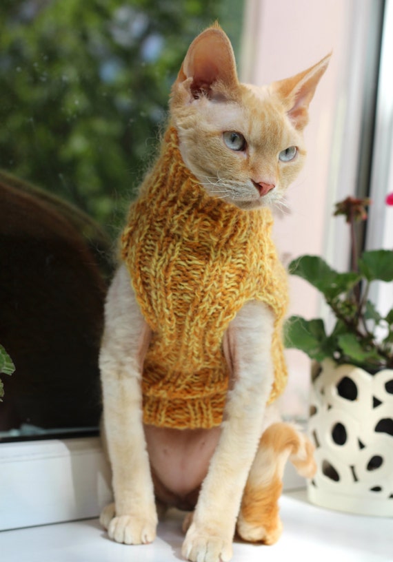 orange cat sweater