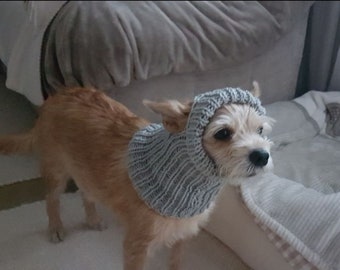 Grey Dog Hat Terrier Middle Size Dog. Hand knitted. Pet Animal Handmade Wool