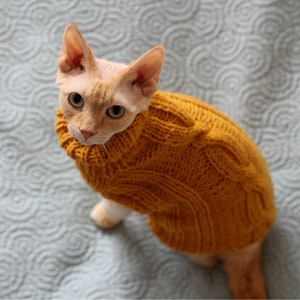 May include: A Devon Rex cat wearing a mustard yellow cable-knit sweater. The cat has light orange fur and is looking up at the camera. The sweater has a high collar and a textured pattern.