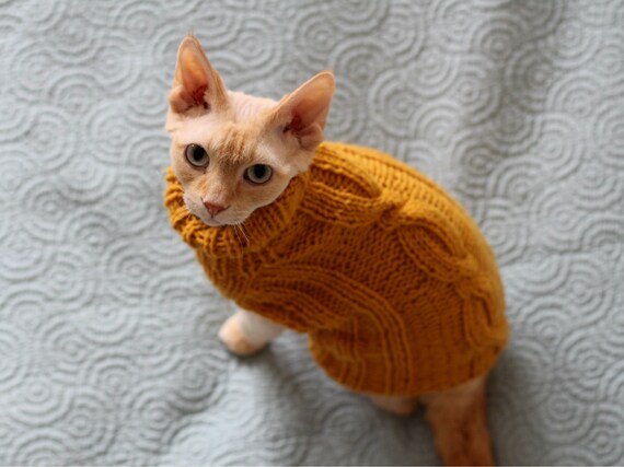 Cat sweater dress sales
