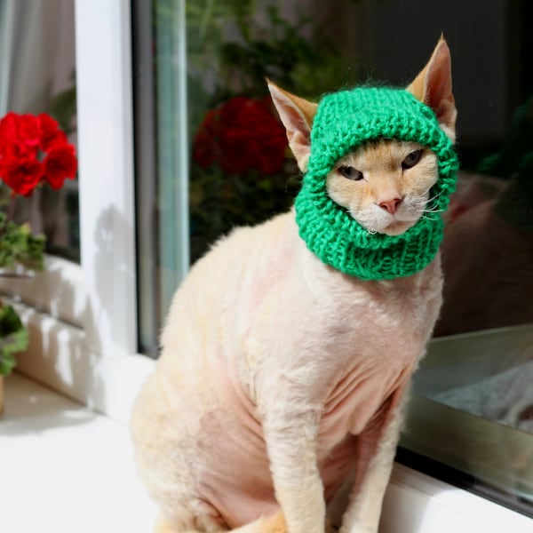 Verschillende kleuren Handgebreide kat kleine hond hoed huisdier dier Sphynx Devonrex Cornish Chihuahua handgemaakte wol