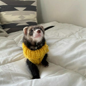 Various Colours Ferret Sweater Jumper. Hand knitted Handmade Wool turtle-neck. Pls Check measurments in description before buying!