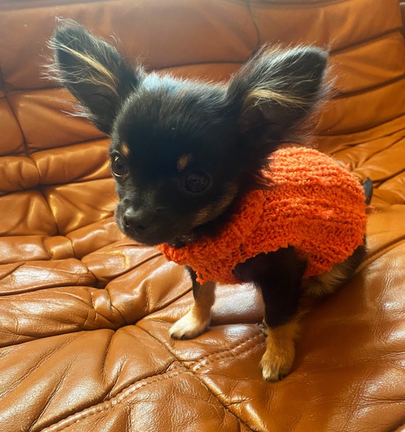 Various Colours Handmade Jumper for Puppy Sweater Dress Baby Wool Turtle neck. Chihuahua Puppy Hairless Puppies Etsy UK