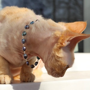 Cat Small Dog Necklace Genuine Black Fresh Water Pearls With Magnetic Safety Clasp. Dog Sphynx Devonrex Cornish Rex Accessories Pet