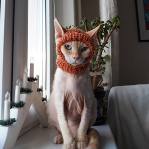 Könnte beinhalten: Eine haarlose Katze trägt eine gestrickte orangefarbene Mütze. Die Katze sitzt auf einer weißen Oberfläche mit einem weißen Kerzenhalter im Hintergrund.