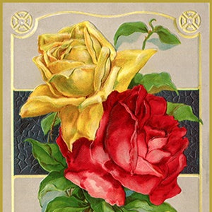 Edwardian Chromolithograph Postkarte Kunst Schöne rote & gelbe Rosen DIGITAL DOWNLOAD