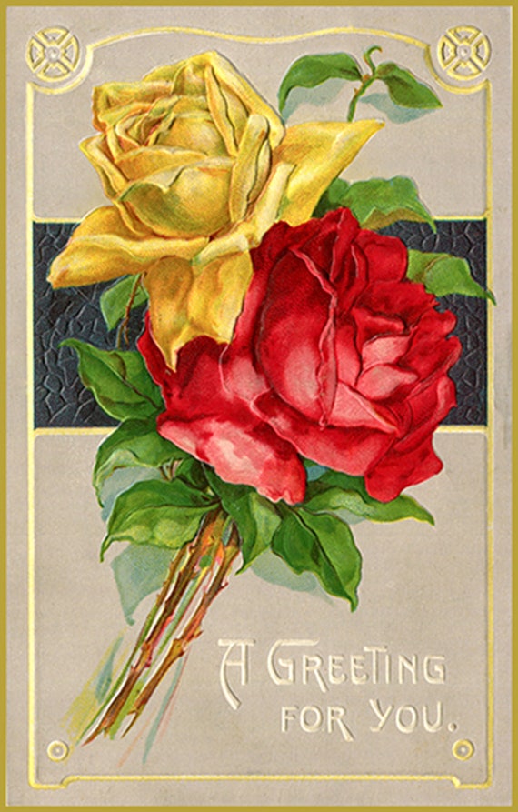 Edwardian Chromolithograph Postcard Art Lovely Red & Yellow Roses DIGITAL DOWNLOAD