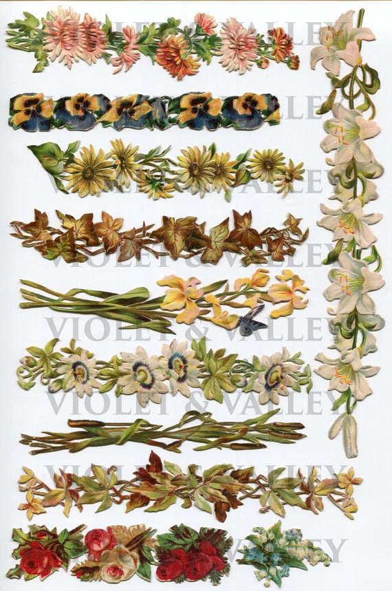 Victorian Floral Borders Lilies Passionflowers Roses Cattails Iris Lily of the Valley Mums Pansies DIGITAL DOWNLOAD