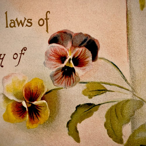 Antique Original Victorian NOS Marriage shops Certificate Lithographic Print with Wisteria, Roses, and Pansies