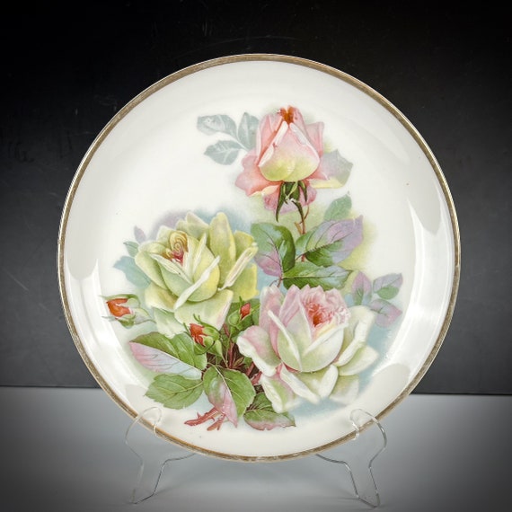 Antique Cabinet Plate Carl Tielsch Altwasser Silesia White & Pink Roses