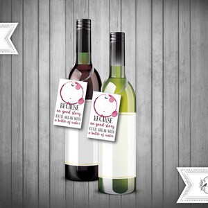 May include: Two wine bottles with favour tags attached. The tags are white with black text and a red wine stain. The text on the tags reads "Because no good story ever began with a bottle of water".