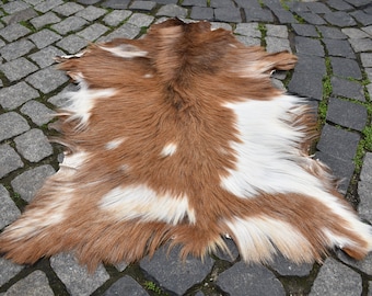 アンゴラヤギ革ファーラグ、2'1'' x 2'9'' ft、天然皮革 - Etsy 日本